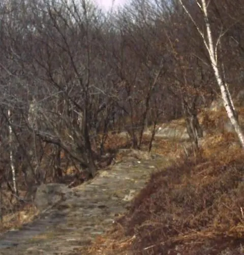 Bed & Breakfast Cip E Ciop *